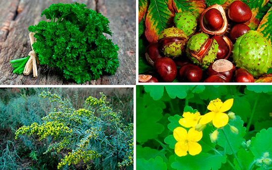 ārstniecības augi prostatīta ārstēšanai